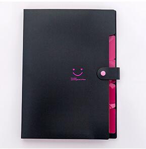 Plastic File Folders Package A4 Multi-layer Folder Business Multi-function Document Package PP File Bag Expanding Stationery: 1