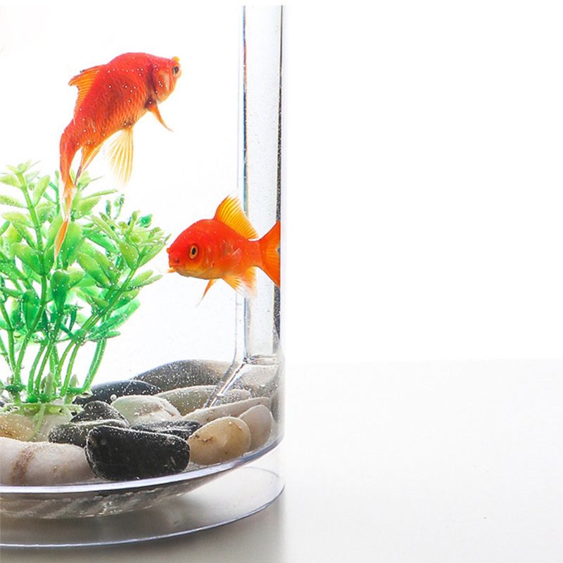 Mini sylinder akvarium startsett med led belysning mini landskap