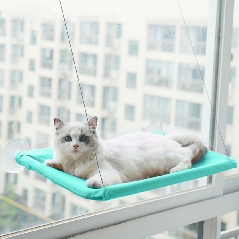 Gato hamaca cama montaje ventana cómodo mono de invierno cálido hamaca para gatitos mascotas pequeñas balda para cama asiento camas de 20kg: Green