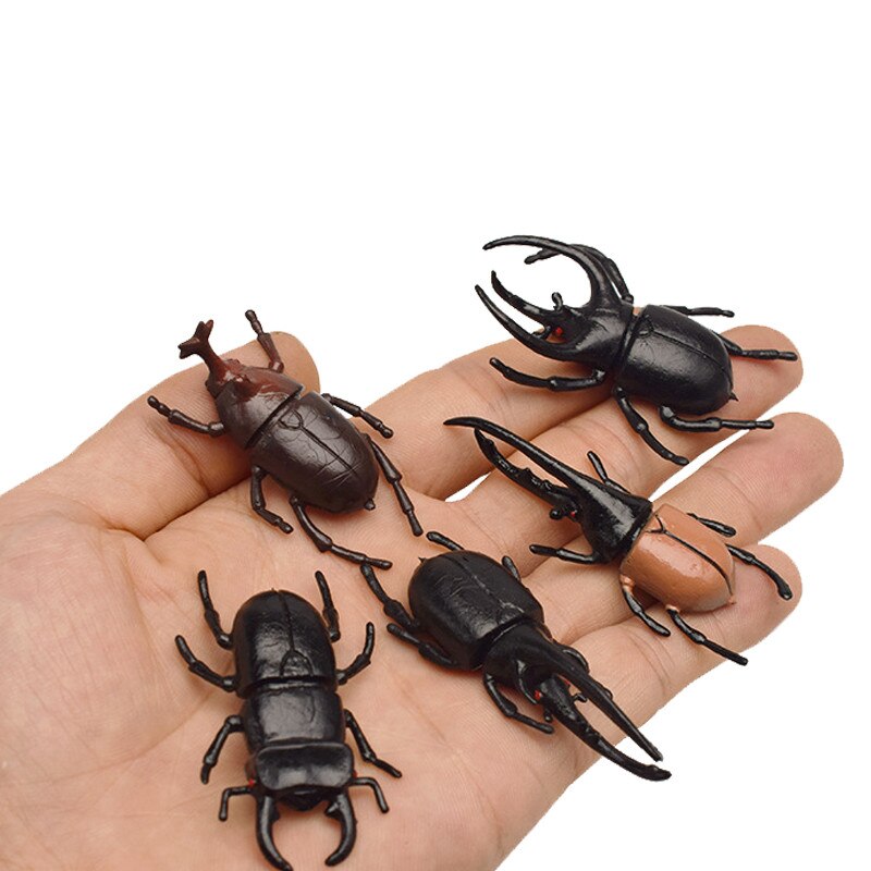 5pcs 5.5/13cm Simulation Beetle Toys Special Lifelike Model Simulation Insect Toy Nursery Teaching Aids Joke Toys Gold Beetle