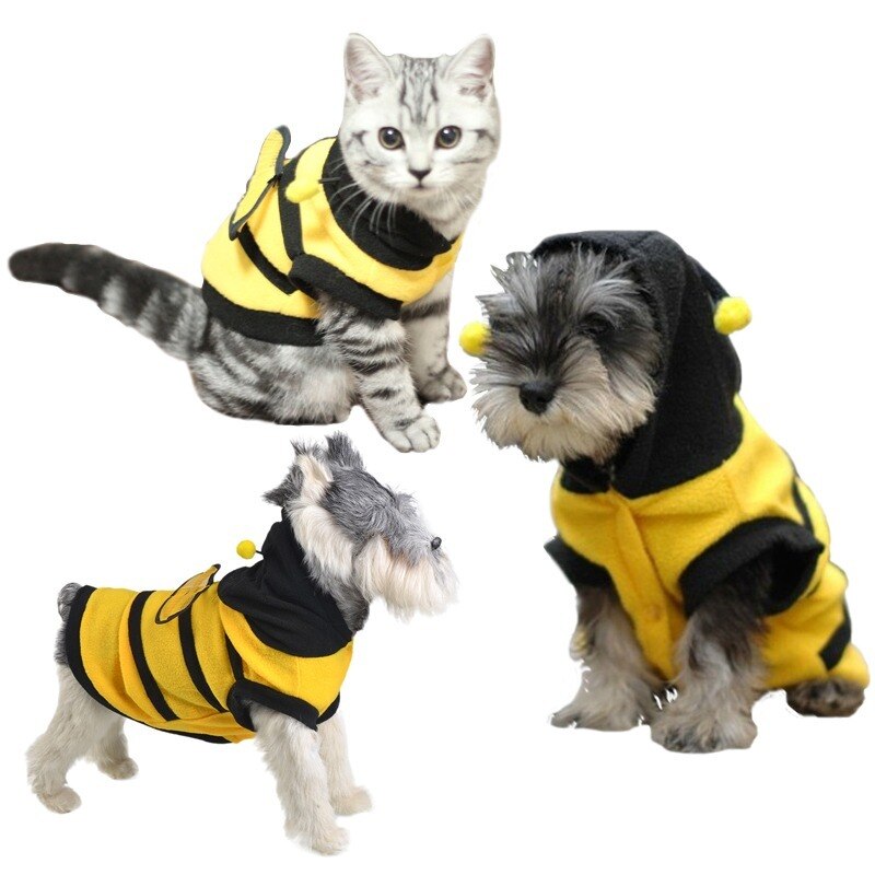 Xs pet fleece hættetrøjer hund varmt tøj gul bi halloween kostume killing kat bamse hiromi kanin kostume ropa de perrito
