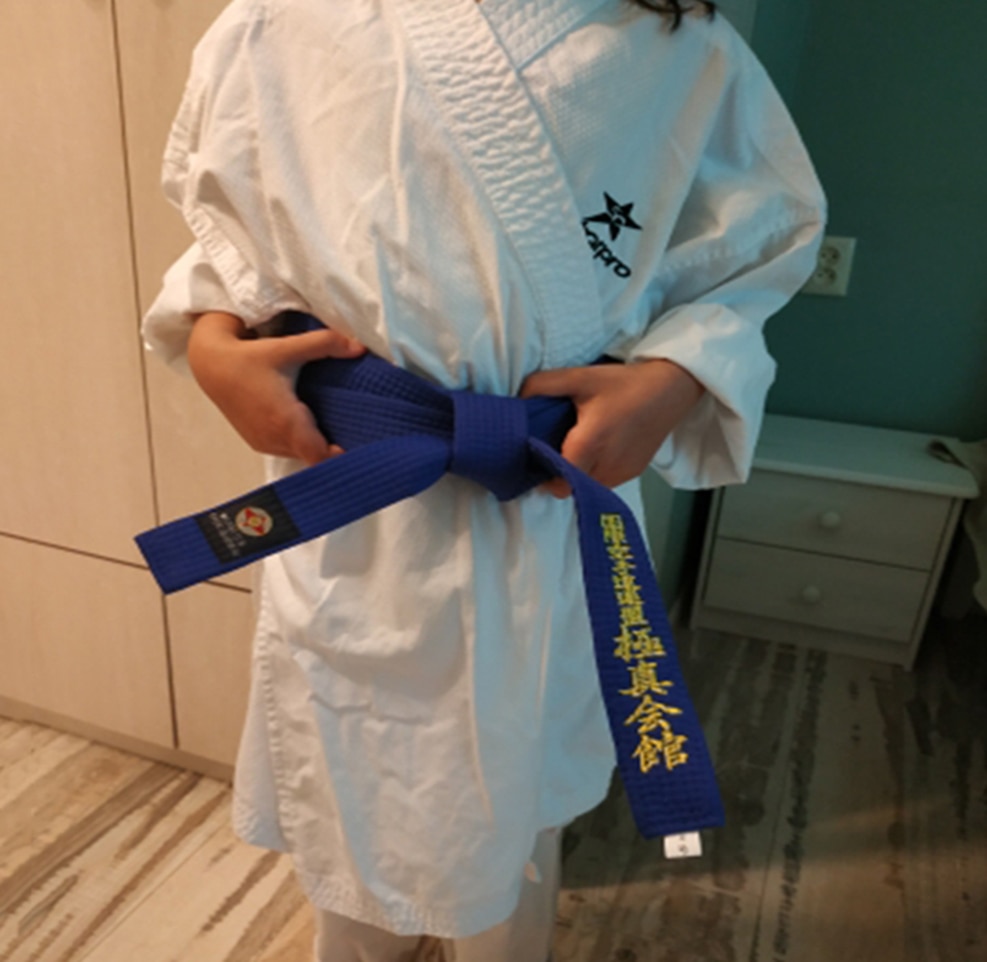 Sinobudo Professionele Kyokushin Kai Karate Riemen Kyokushin Iko Borduren Riemen Comfortabele Karate Riem