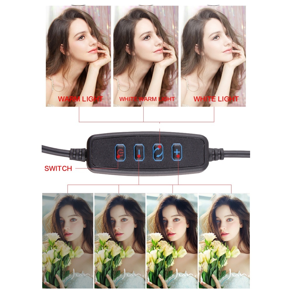 Photographie Dimmable Selfie maquillage 26cm anneau lumière vidéo en direct 12w 5500k LED lampe de remplissage avec support pour téléphone trépied prise USB