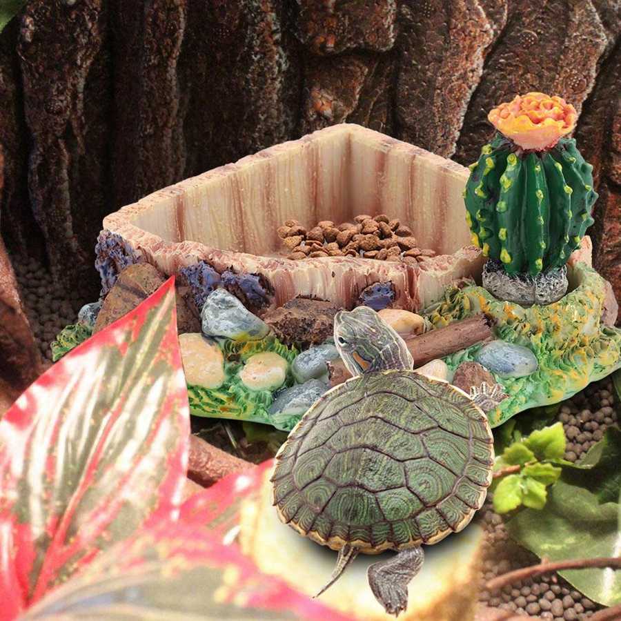 Skildpadde foderskål skildpadde vandskål krybdyr kæledyr skildpadde skildpadde firben fodring vandskål plade med kaktus boligindretning