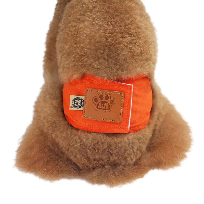 Hond Menstruatie Luiers Voor Honden Slips Hond Broek Menstruatie Underpants Wasbare Lafaards Nappy Rijbroek Ondergoed