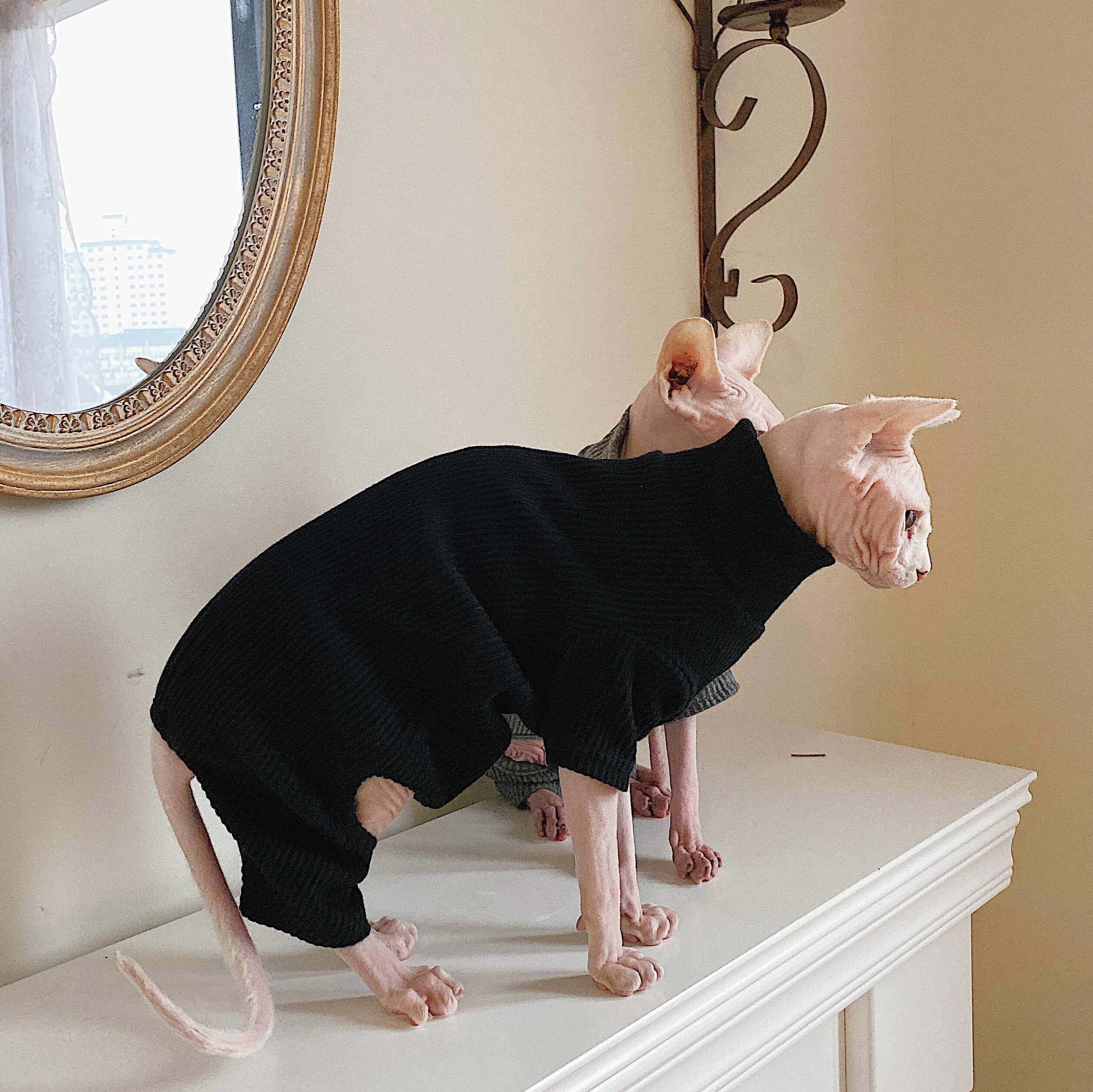 Hairless Cat Clothing Sphinx Cat Clothes Devon Winter Thick Cotton Comfortable Elastic Four Legged Clothes Pet Dog Supplies: black / L