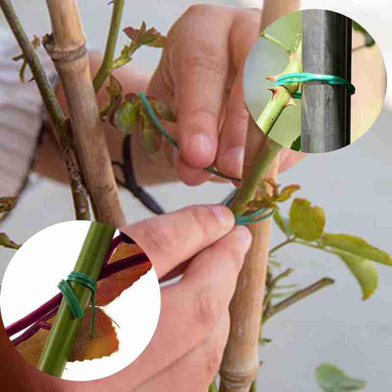 Kabelbinders van kunststof voor planten, herbruikbare kabelbinders, kweeksets voor in de tuin, verstelbare kabelbinders van kunststof voor planten