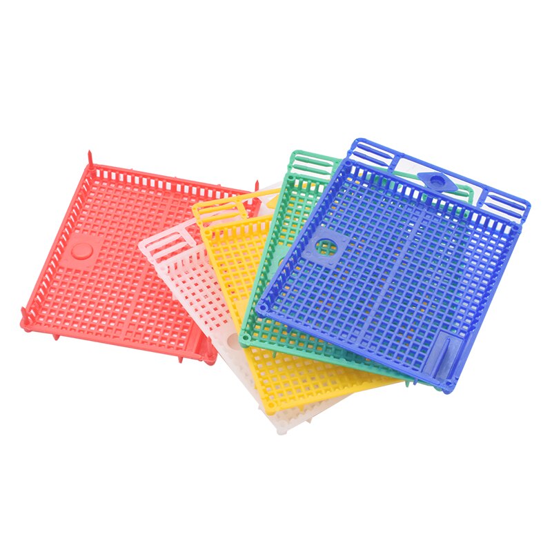 1PCS Queen Isolation And Introduction Cage Plastic Round flat queen introducing cage