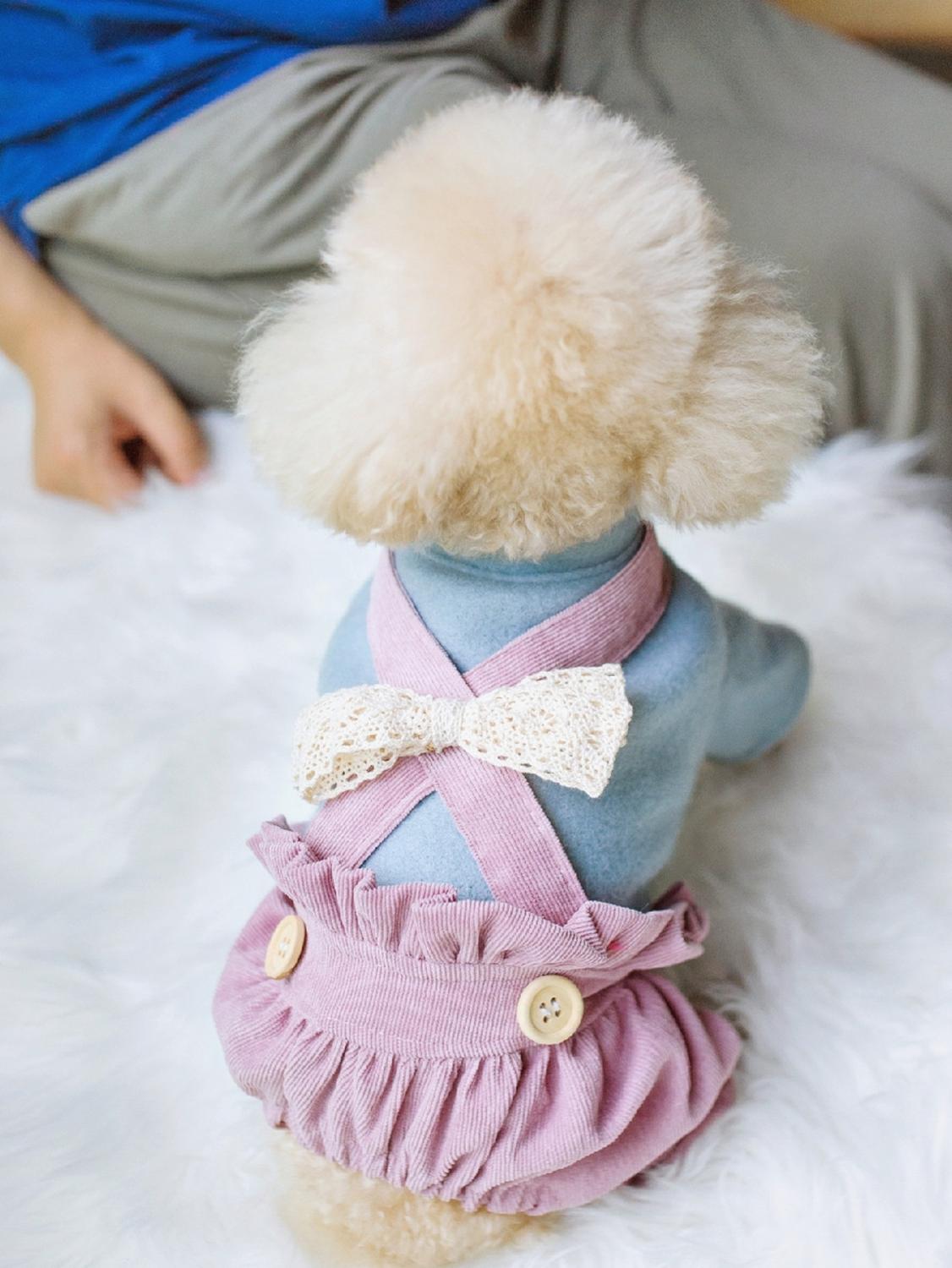 Pantalones bombachos con lazos para niña, ropa para perro, Mono para mascota azul y rosa, chaqueta para cachorros de Animal Yorkshire Terrier Pug, Otoño e Invierno