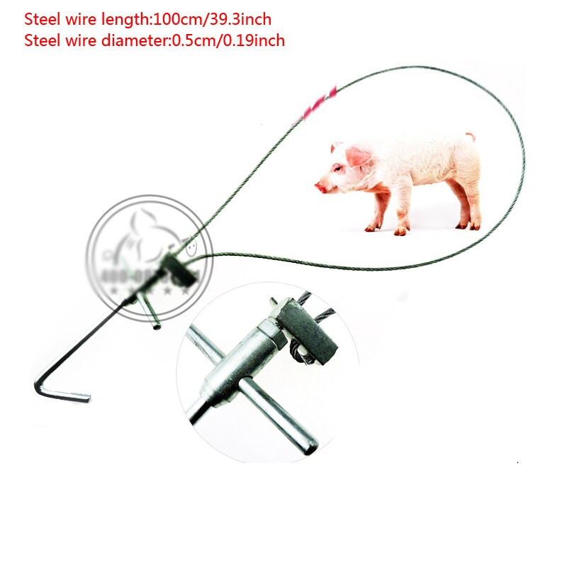 Stainless steel wire catch pigs Pig livestock Baoding device Veterinary fixed sleeve Livestock breeding equipment