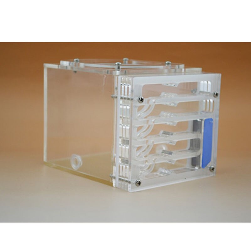 Moisture big space Bionic Plane Acrylic Ant Nest