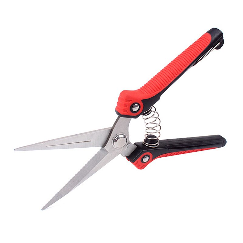 Stainless steel pointed head orchard fruit picking scissors Garden Scissor Hand pruner Branch Shear pruning Fruit Trees