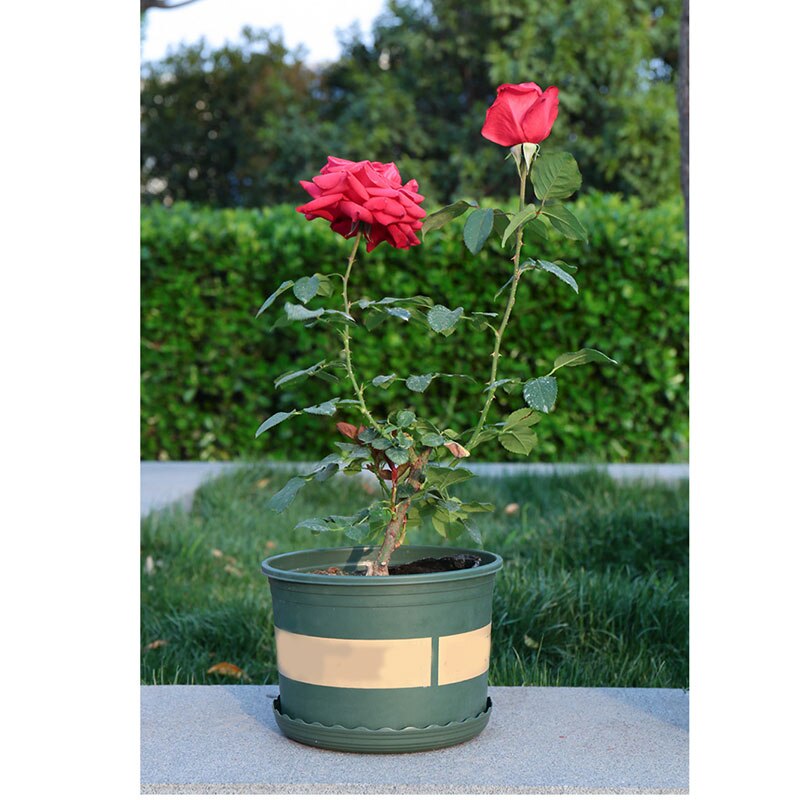 Stor rund kort blomkruka kontroll rot roskruka plantering plantor förtjockning plast blomkruka 11 x 10 x 9cm