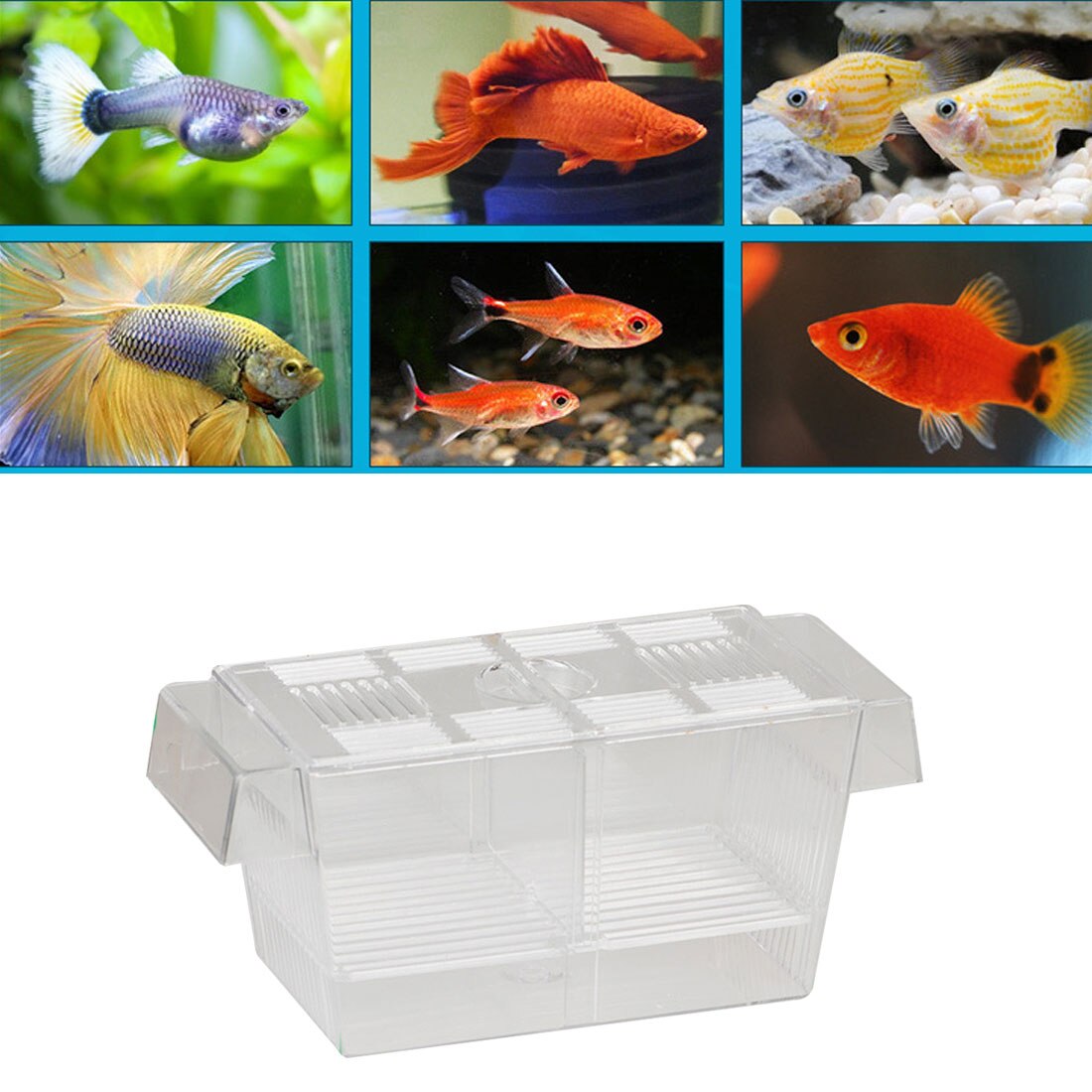 Acuario transparente doble cuenco Fighting Fish Mini casa caja incubadora para aislamiento Fry incubadora jaula para reptil Turtle House