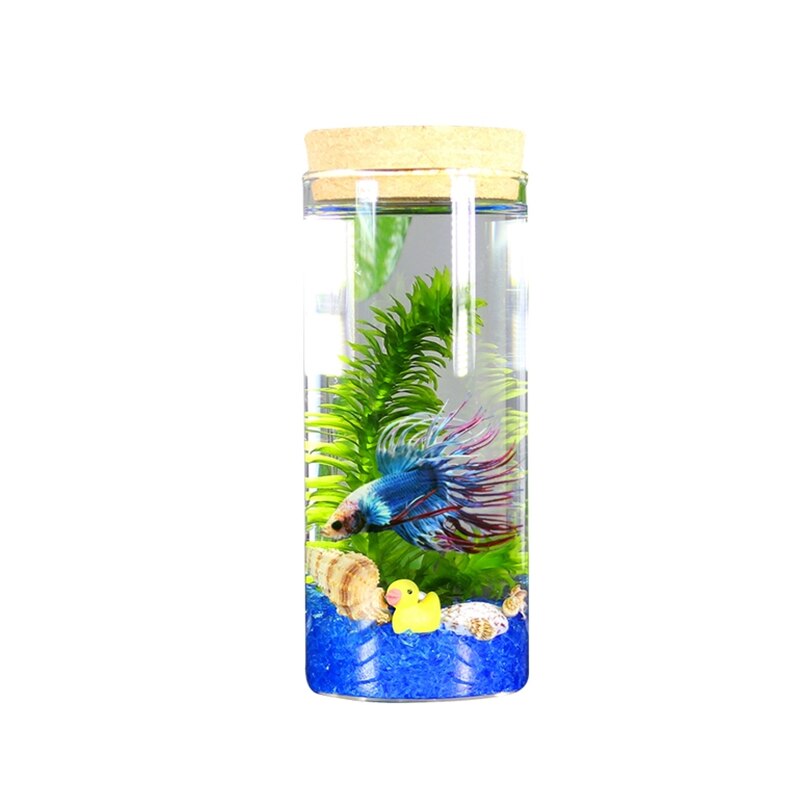 Aquarium Small Fish Tank Micro-view Viewing Aquarium Landscaping Fighting Fish Tank Glass Ecological Bottle Aquarium Accessories