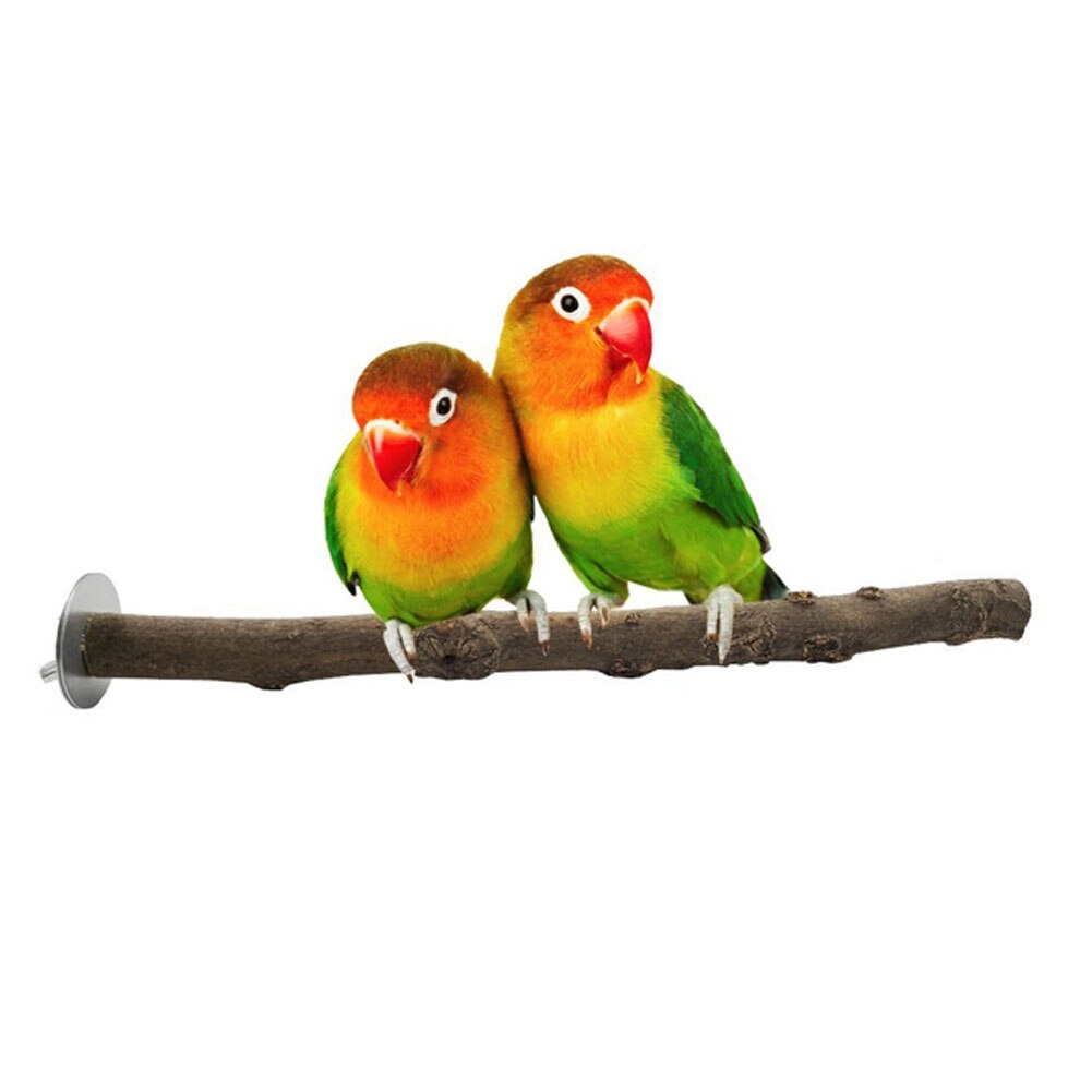 Mâcher patte meulage pratique Scratch branche Cage accessoires perruche oiseau jouet support bâton fournitures pour animaux de compagnie bois perroquet perche