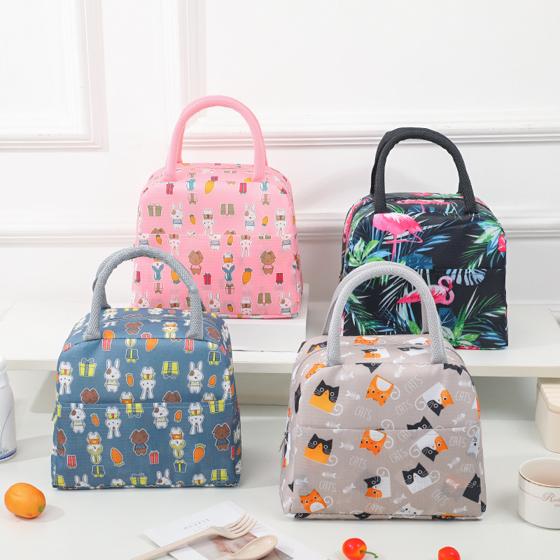 Kleurrijke geïsoleerde lunchtas met grote capaciteit, verdikte Bento-tas van aluminiumfolie, geïsoleerde lunch- en opbergtas