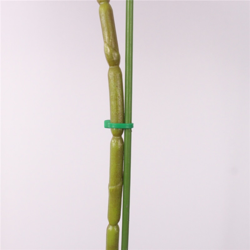 Phalaenopsis plants dedicated styling fixture gardening potted orchid plants flowers supporting wire flower rod stem 2pcs/lot