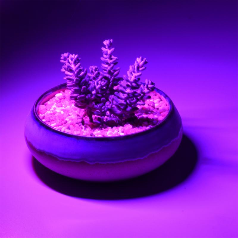 Lampe horticole de croissance pour plantes, USB 2.5, 5V, LED W, système hydroponique, pour serre/chambre de culture, batterie externe, 1 unité, directe
