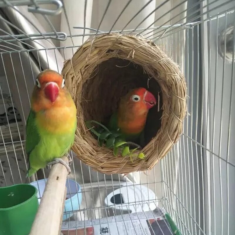 Jaula pequeña para el hogar hecha a mano para loros, pajillas y pájaros