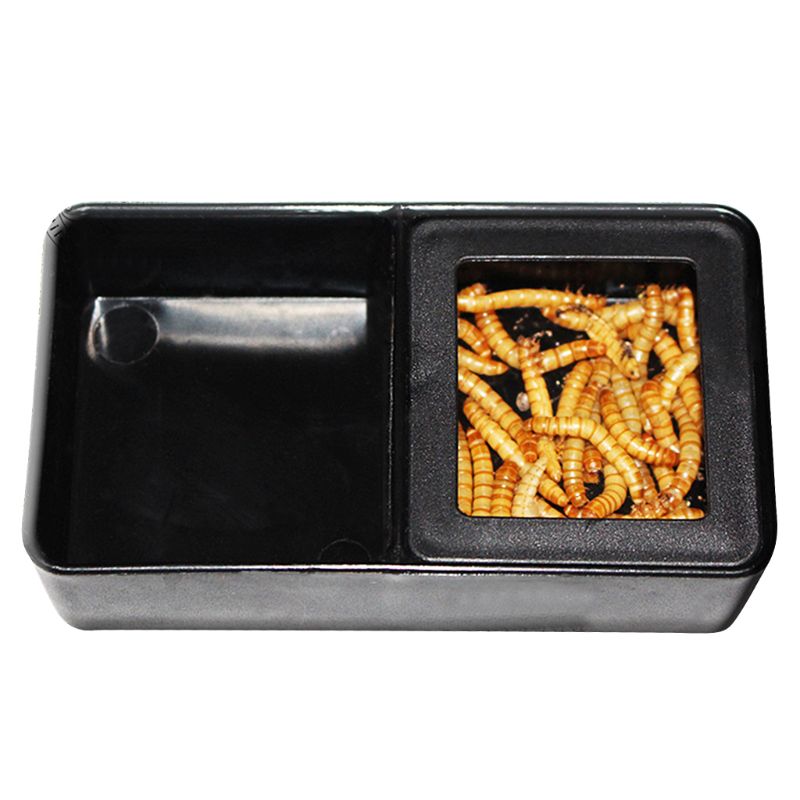 Terrario de caja de comida de agua de plástico negro para alimentar a las tortugas de insectos: 1