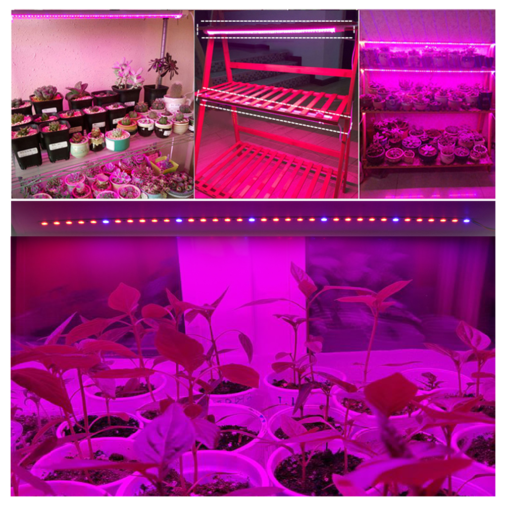 12v led vækstlys 5730 chip phyto lampe til frøplanter indendørs plantedyrkningslampe til hydroponics drivhus væksttelt 10 stk/parti