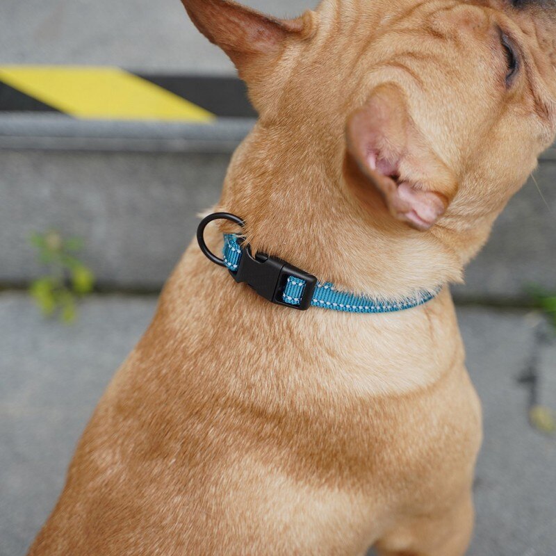 Pet Supplies Comfortable Diving Cloth Lining Dog Collar Collar Small Dog Anti-strangle.Collar Large Dog Medium Golden Retriever