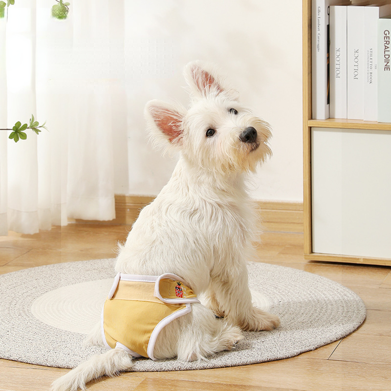 Suporte de almofada menstrual para cães, respirável, calcinha para cães pequenos e médios, calças menstruais femininas para animais de estimação com para mulheres
