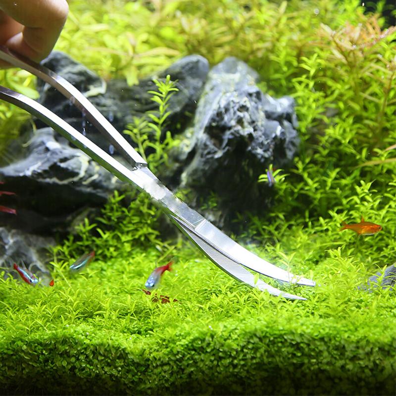 Aquarium Schaar Pincet Gereedschap Aquarium Planten Golf Schaar Water Gras Roestvrij Reinigingsgereedschap Houder Aquarium Accessoires