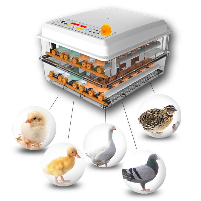 220V 16 Eggs Incubator Brooder Bird Quail Chick Hatchery Incubator Poultry Hatcher Turner Automatic Farm Incubation Tools EU