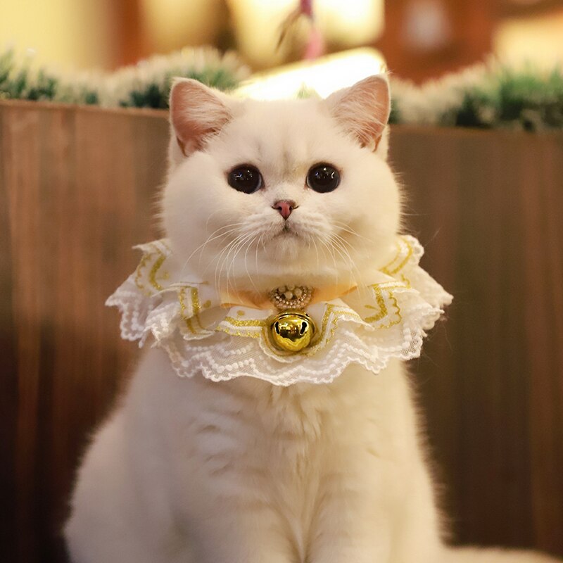Charmy Cinta de Oro gato Baberos dulce gatito Collar de perro, Collar de Bell bufanda para perro accesorios lindo correa para el cuello perrito Yorkie de trapo