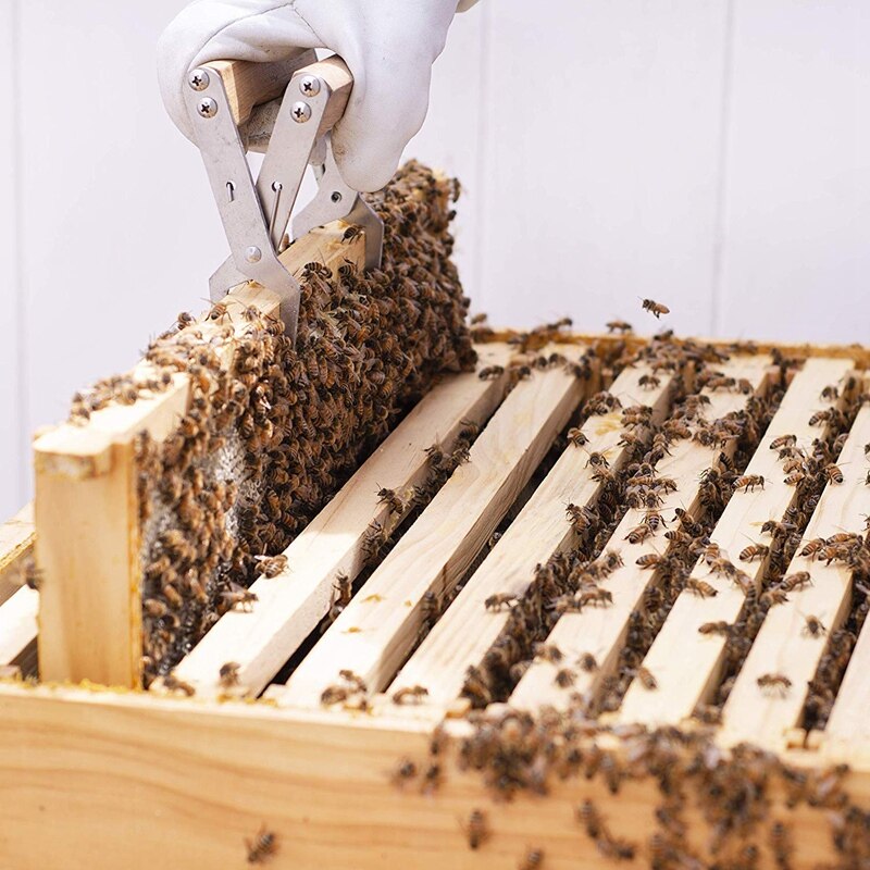 Biavl honning værktøjssæt biavl starter kit sæt  of 10 biavl udstyr leverancer