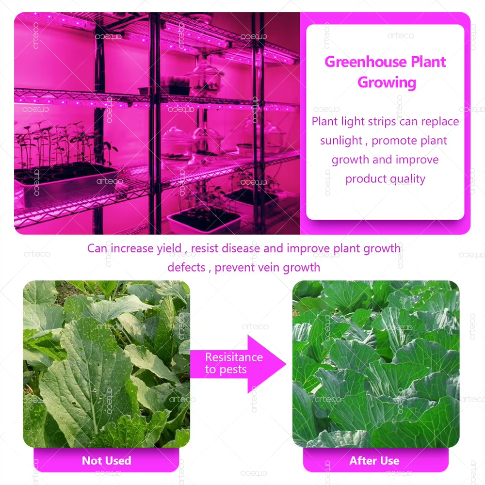 Luz Led USB para cultivo de plantas con caja de batería, tira de luces de cultivo de espectro completo de 5V, lámpara Phyto Led 2835 para plantas, invernadero hidropónico