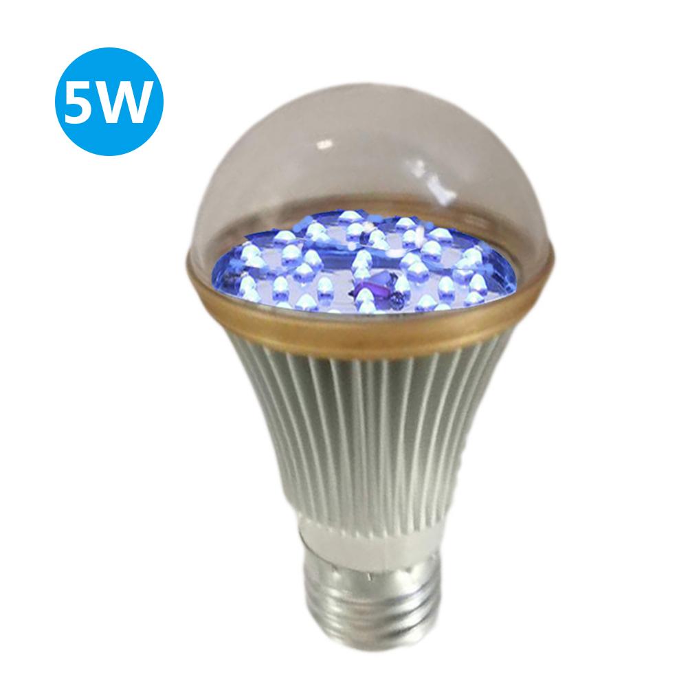 LED lichtketting op zonne-energie Lucas startset, helder