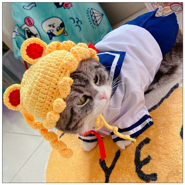 Uniforme de escuela alta para gato, ropa para gato, disfraz para mascota