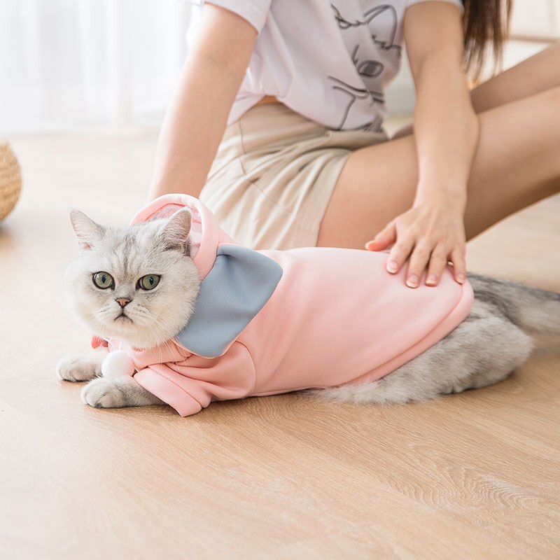 pet clothes cat clothes dog clothes autumn and winter cat and dog sweater cute transform pet clothes