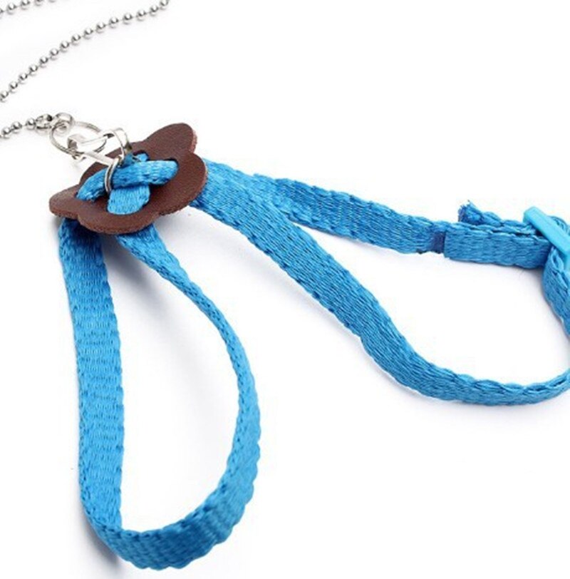 WOONEKY Eidechsen Kostüm Set - Verstellbares Geschirr Mit Hut Für Bartagamen & Reptilien