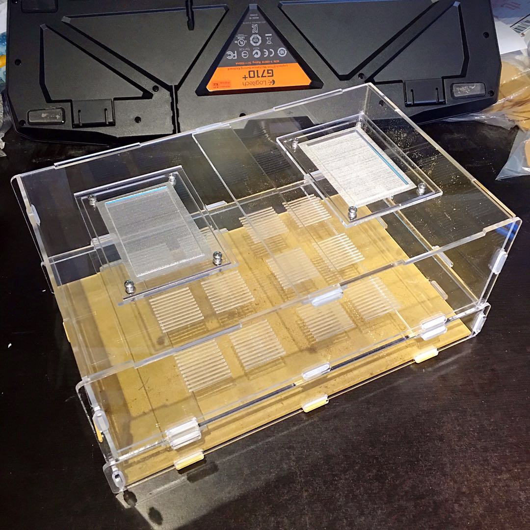 Breadworm, Wormwood, Feeding Box, Anthouse