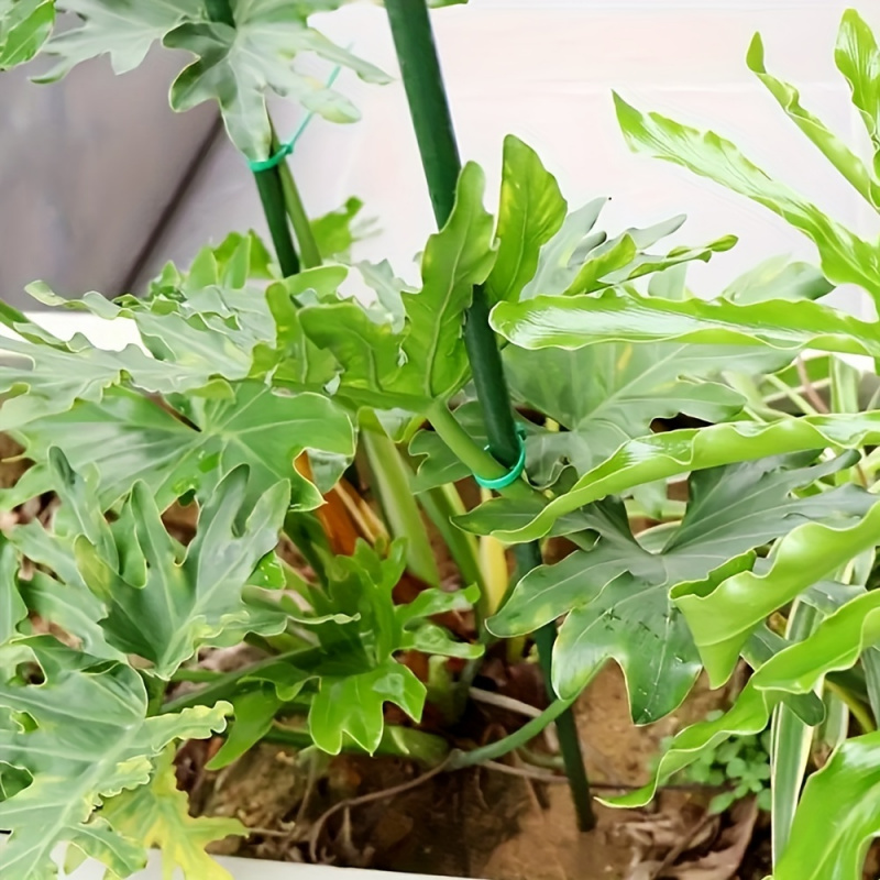 20 Stuks Tuinpalen Gecoate Stalen Plant Palen, Gebruikt Ter Ondersteuning Van Het Beklimmen Van Tomaten Bomen Bonen Gele Bloemen, Het Repareren Van Bomen En