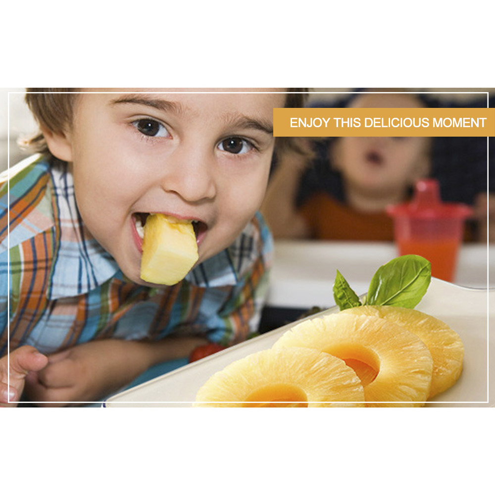 1PCS Rvs Pineapple Slicer Cutter en Corer Ananas Dunschiller Mes Machine Groente Fruit Snoeier Gereedschap Core Puller Schil