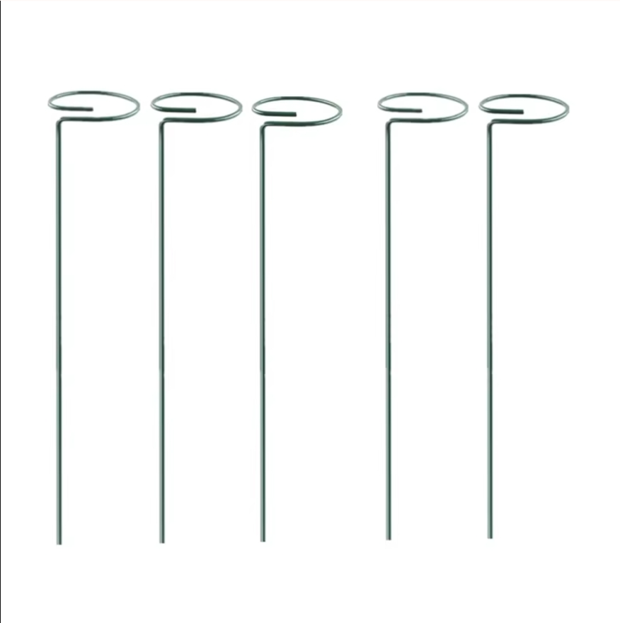 Estacas de soporte para plantas de 40cm, 5/10/15 Uds., estaca de tallo único para jardín, anillos de jaula Amaryllis para tomates, orquídeas, lirio, peonía, rosa y flor: Oro