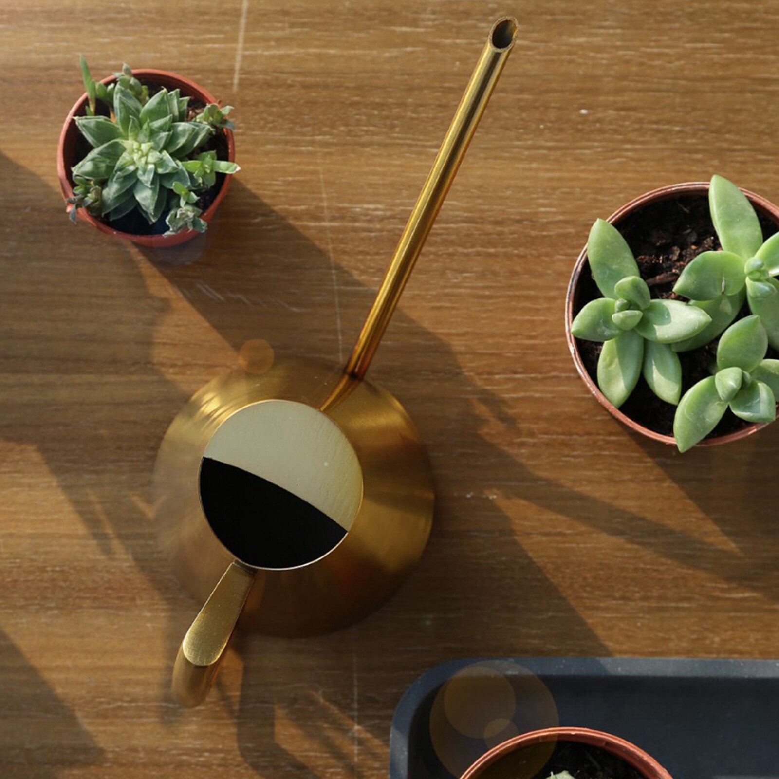 Pequeña regadera para plantas de interior, maceta de riego de acero inoxidable con surtidor largo