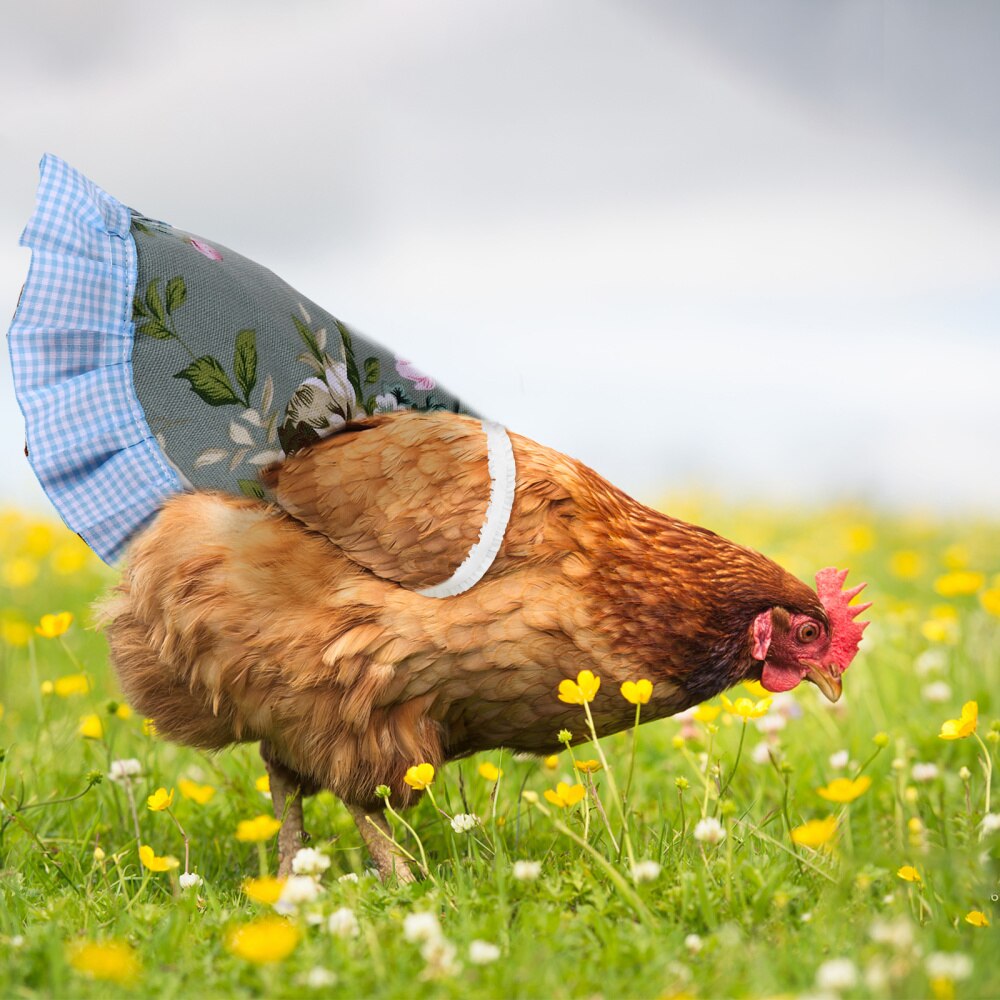 Chicken Dusk Vest Adorable Poultry Costume Vest Poultry Apparel