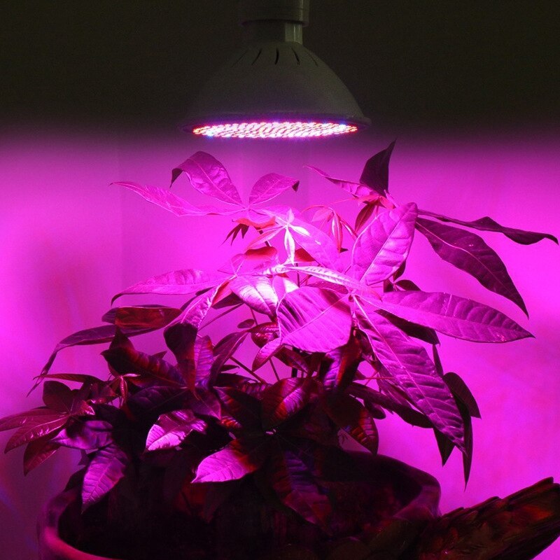 Full Spectrum LED Grow Lamp 200 LED Light for Plant Grow Light Red Blue LED for Plants Flower Growth Bulb