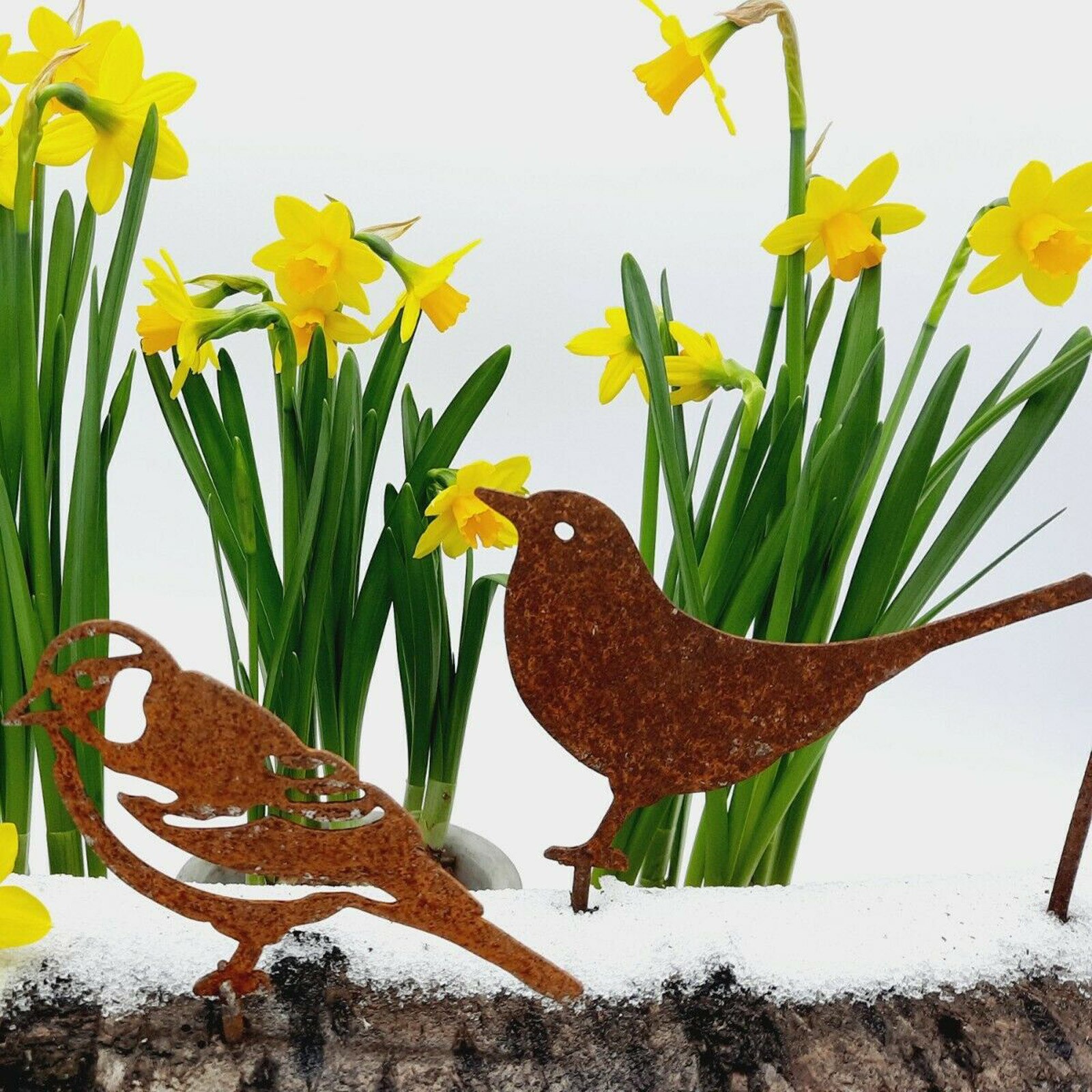 Miniterrario en miniatura de pájaro oxidado para jardín, adornos metálicos artesanales, decoración de jardín, gorriones, Robin