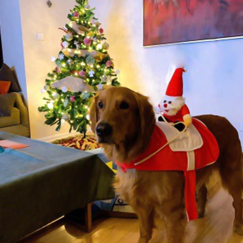 Vêtements de noël pour animaux de compagnie, tenue mignonne et à la , doux et , pour père noël, chien, chat, décoration de
