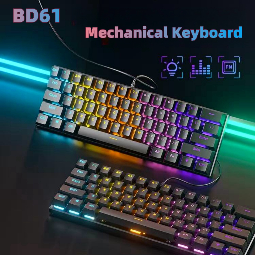 BD61 60% Gaming Mechanical Keyboard 61Key Wired Custom Mechanical Keyboard RGB Full Key -Swap RGB Backlit for Gaming/Office