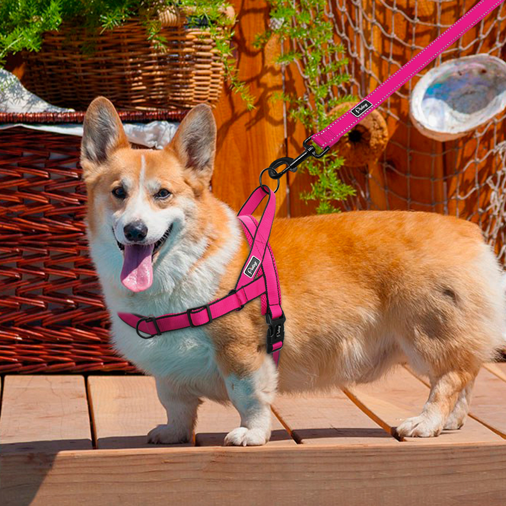 Nylon Verstelbare Ademend Harnassen Leads Sets voor Kleine Medium Grote Honden Husky