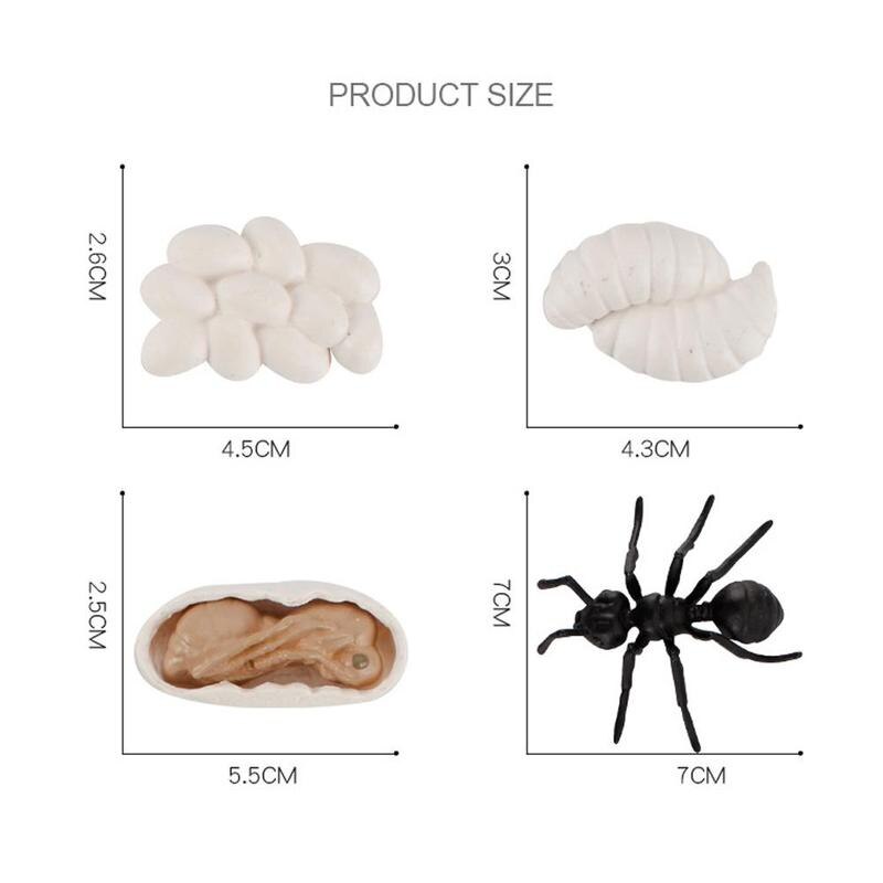 5 set simulering insekter djur livs tillväxt cykel modell mini storlek groda kyckling sköldpadda myra biologi utbildning leksaker för barn