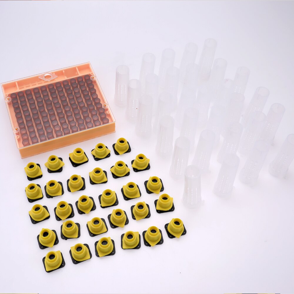 Insect Rearing Cups 1pcs Beekeeping Tools Queen Bee Rearing Cup Kit Bo... – Grandado